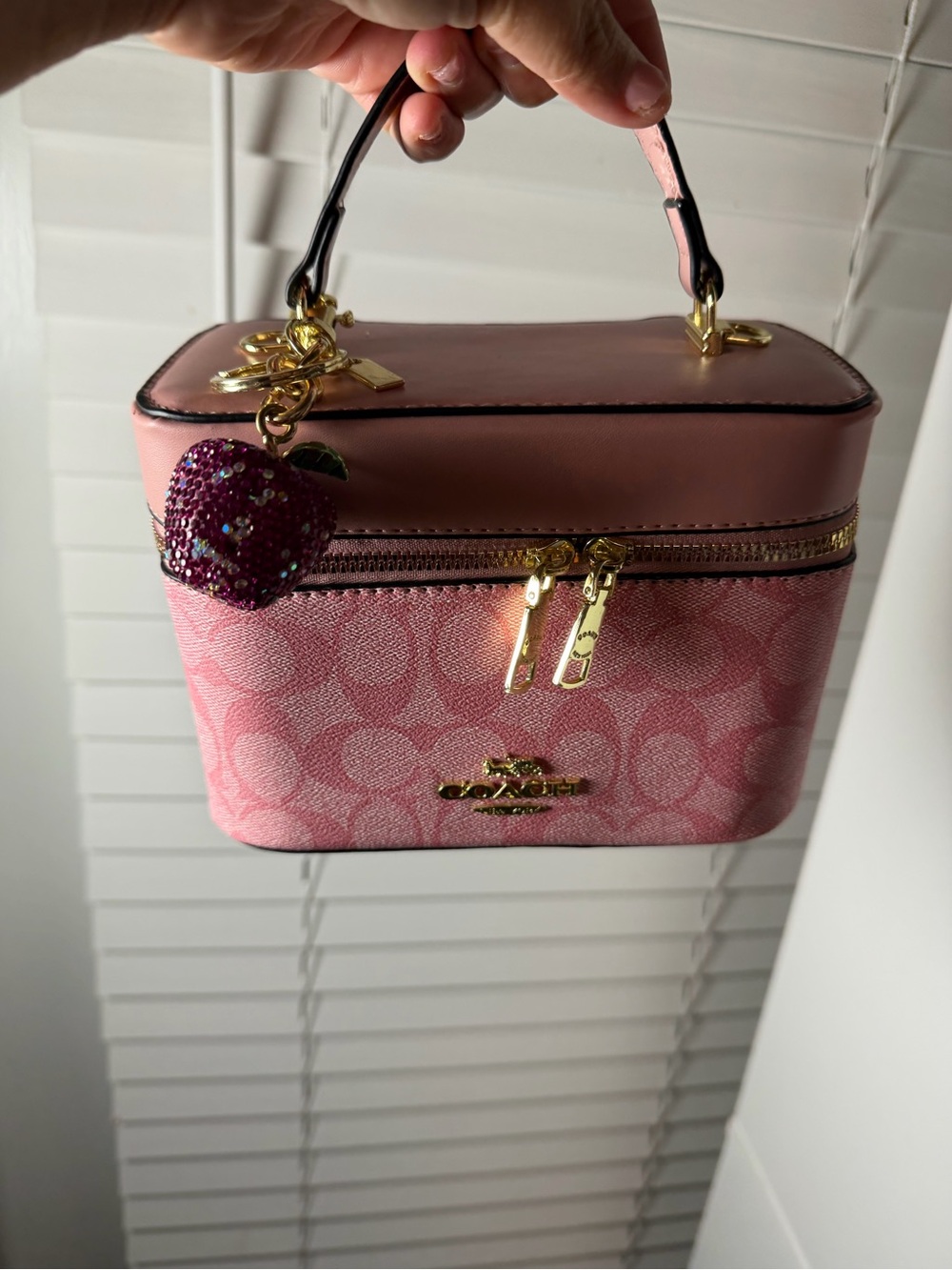 Coach Pink Signature Top-Handle Mini Vanity Bag with Apple Charm